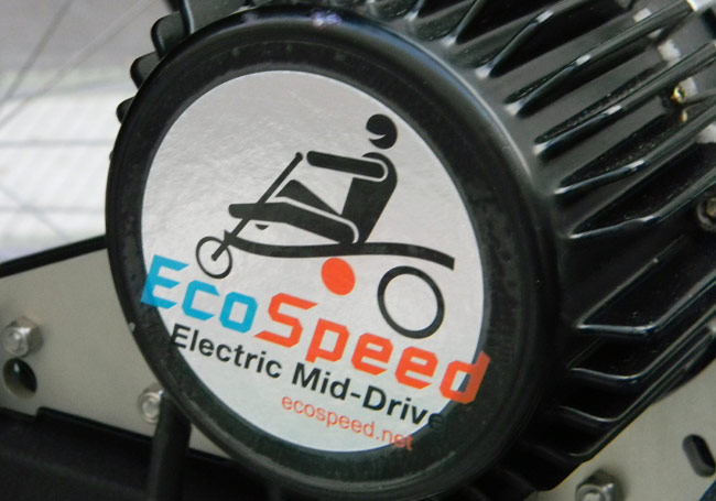  - The EcoSpeed motor is 1000W. More than enough power to climb hills and go fast!