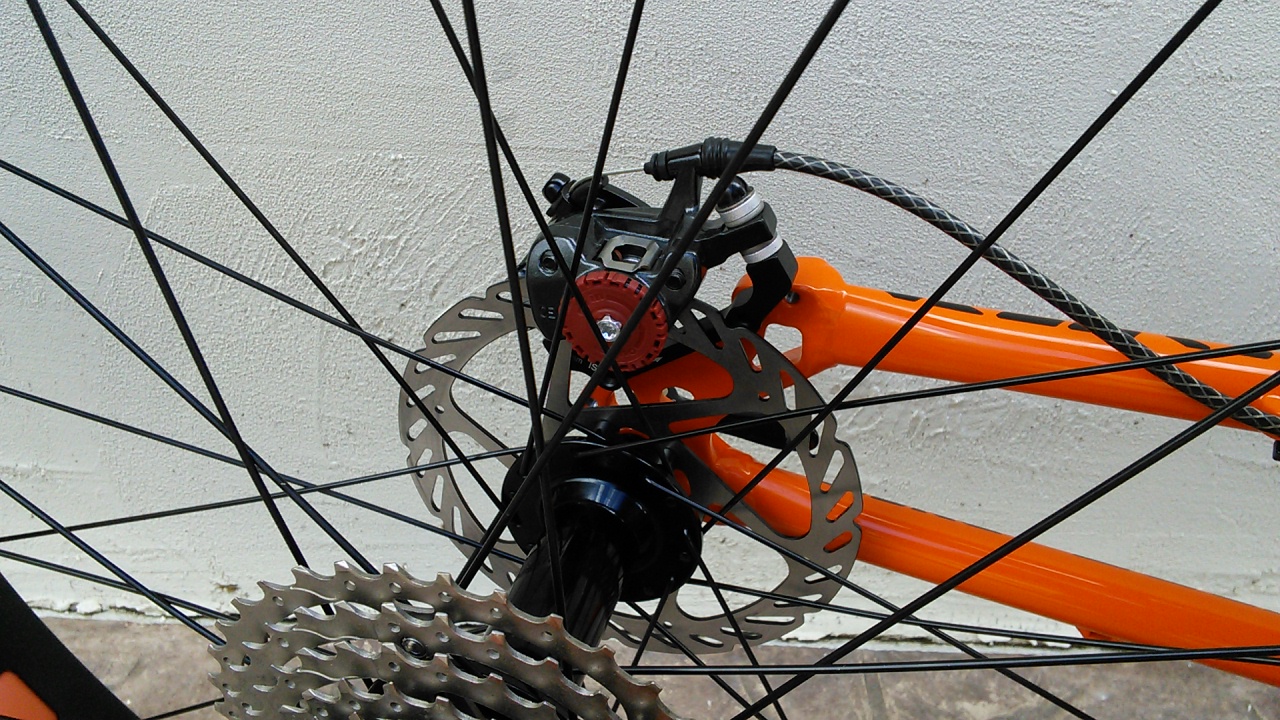 Rear Disc Brake with Friction Lever - 