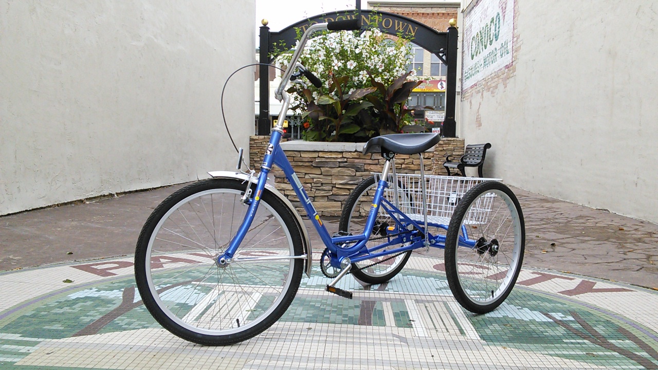 Sun Adult Trike 24-inch w/basket Metallic Blue