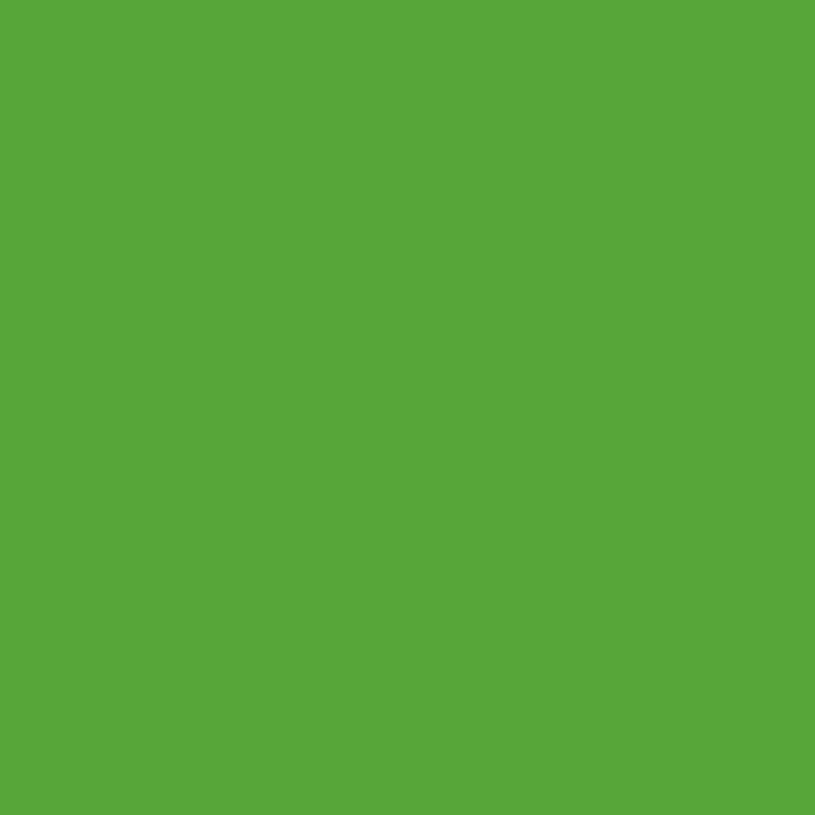 Color AZUB Factory Color - Light Green RAL 6018