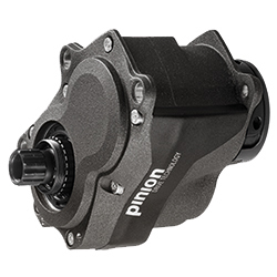 Pinion C1.9 XR Wide Range 9-Speed Drive - Black