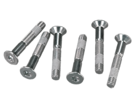 Rohloff Torx screws for Axle Plate (6 pcs)