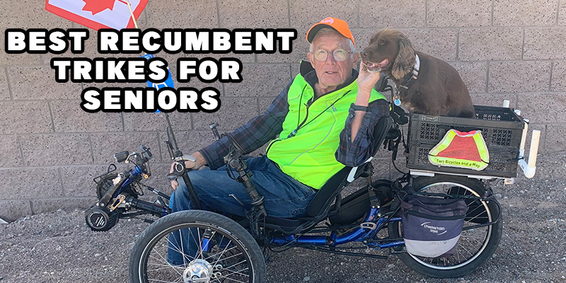 Recumbent bicycles for seniors online