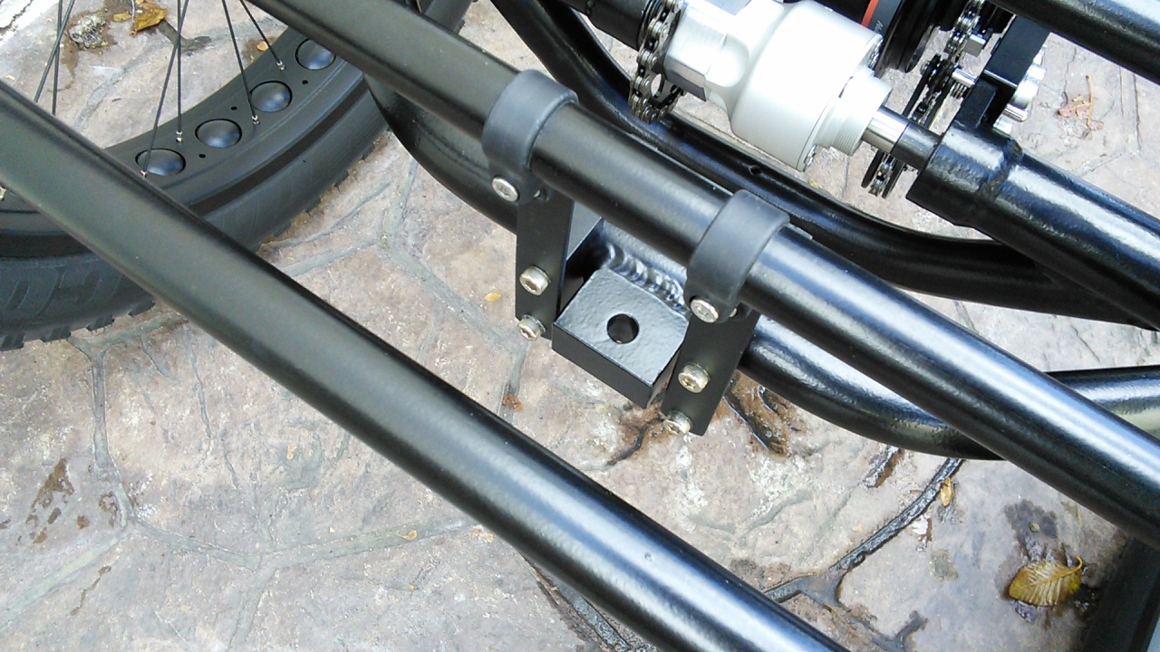 4631679_UTCustomCatrikeFatCat-4Quad