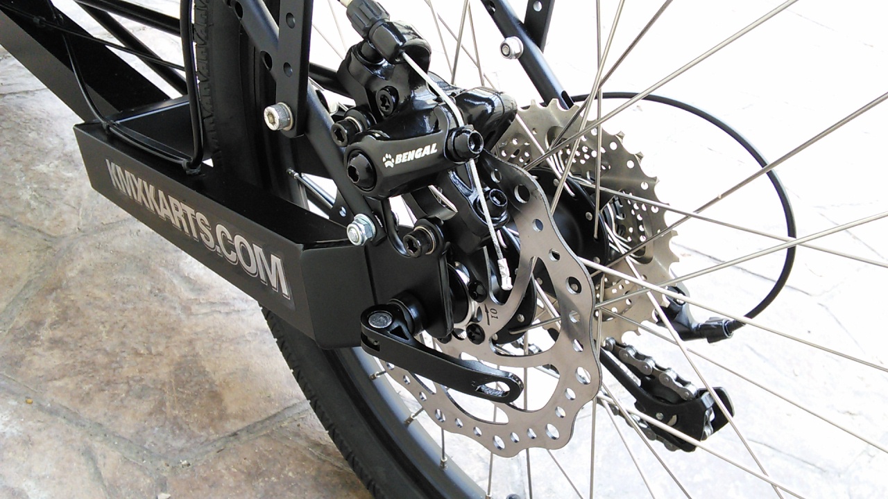 Rear Parking Disc Brake - 