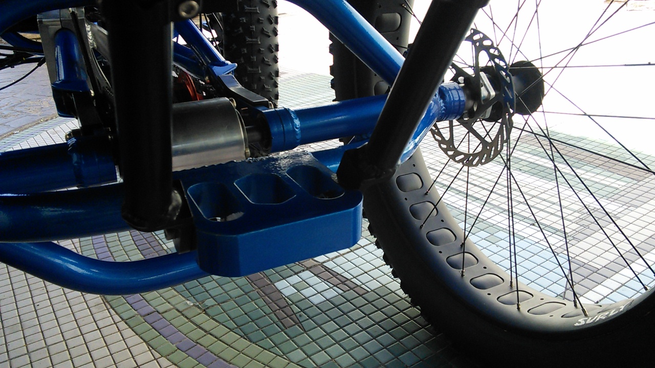 4777938_UTCustomCatrikeFatCat-4Quadblue