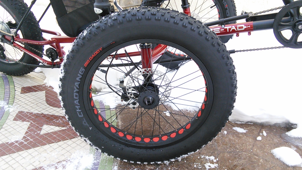 4881283_SunEZTadSX-ComfortTrike