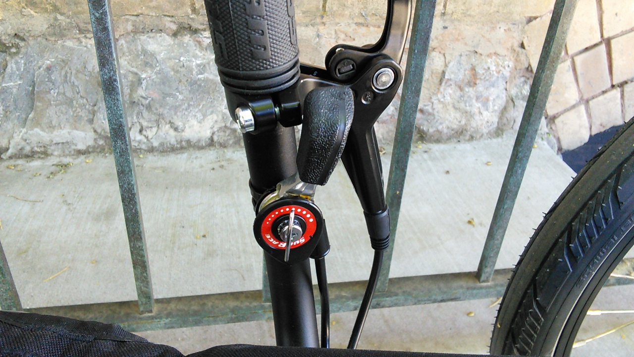 Friction Lever for Rear Brake - 