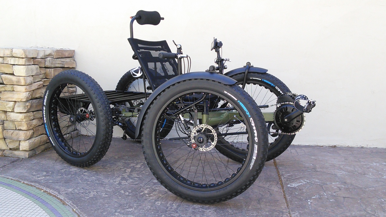 eco trikes
