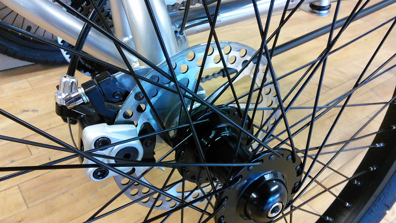 Rear Disc Brakes - 