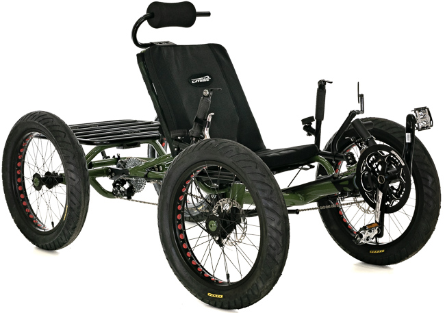 5195492_UTCustomCatrikeCat-4RecumbentQua