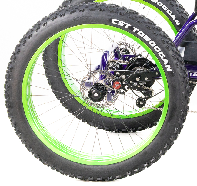 5612404_UTCustomCatrikeCat-4RecumbentQua