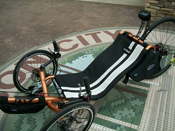 Muscle Seat - I recycled my muscle seat from the Feb 2009 promotion. It just looks fast.
