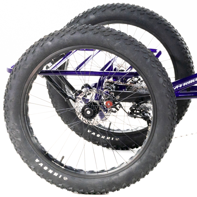 5799469_UTCustomCatrikeFatCat-4Quad