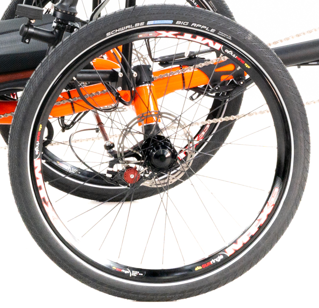 5807889_UTCustomCatrikeCat-4RecumbentQua
