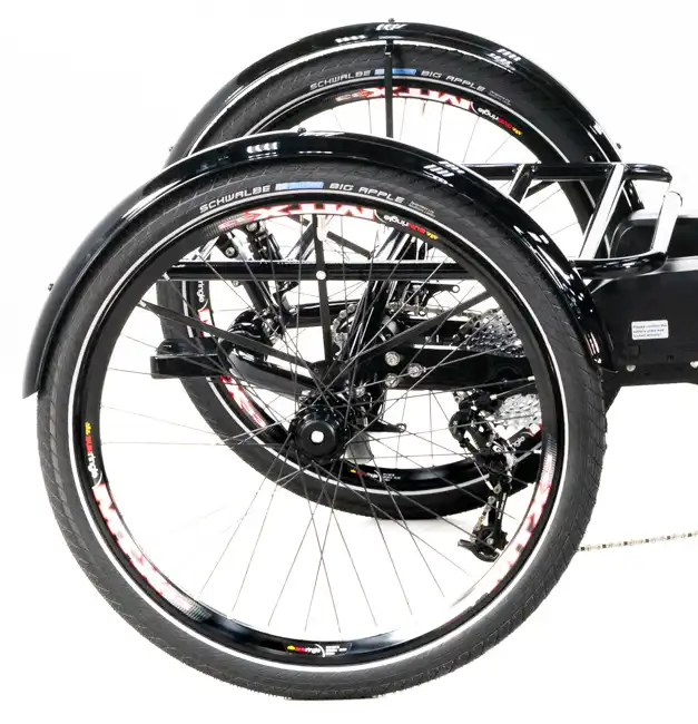 5917382_UTCustomCatrikeCat-4RecumbentQua