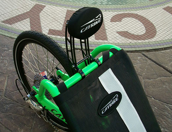 Headrest - The owner added a Catrike Neck Rest to provide extra neck comfort on long rides.