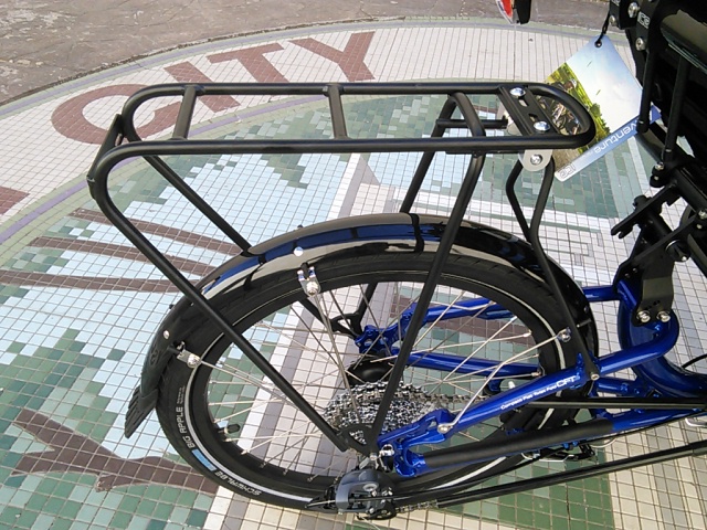 4215463_ICEAdventureRecumbentTrike