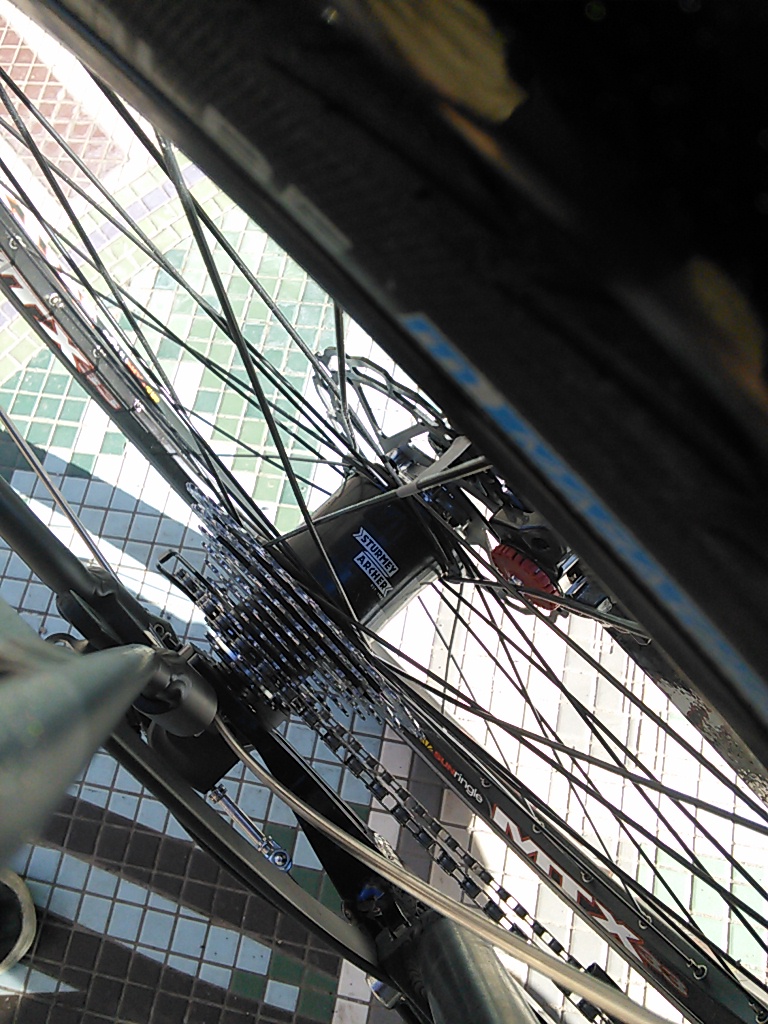 4275212_UTCustomTrike