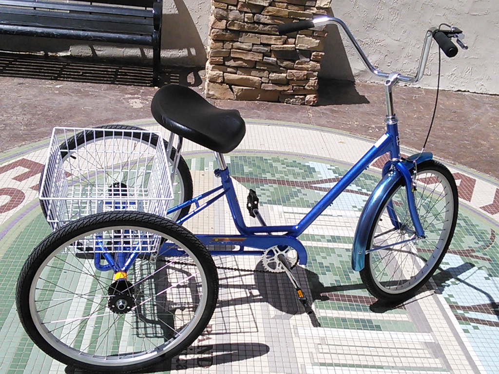 Denas metallic blue adult trike