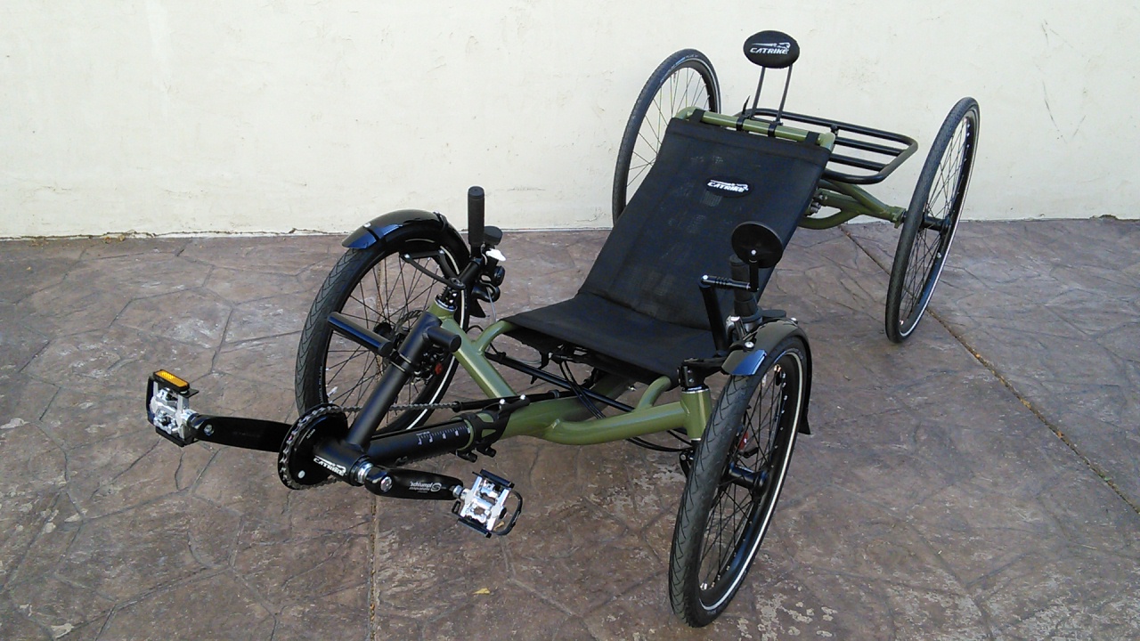 Cat trikes shop for sale