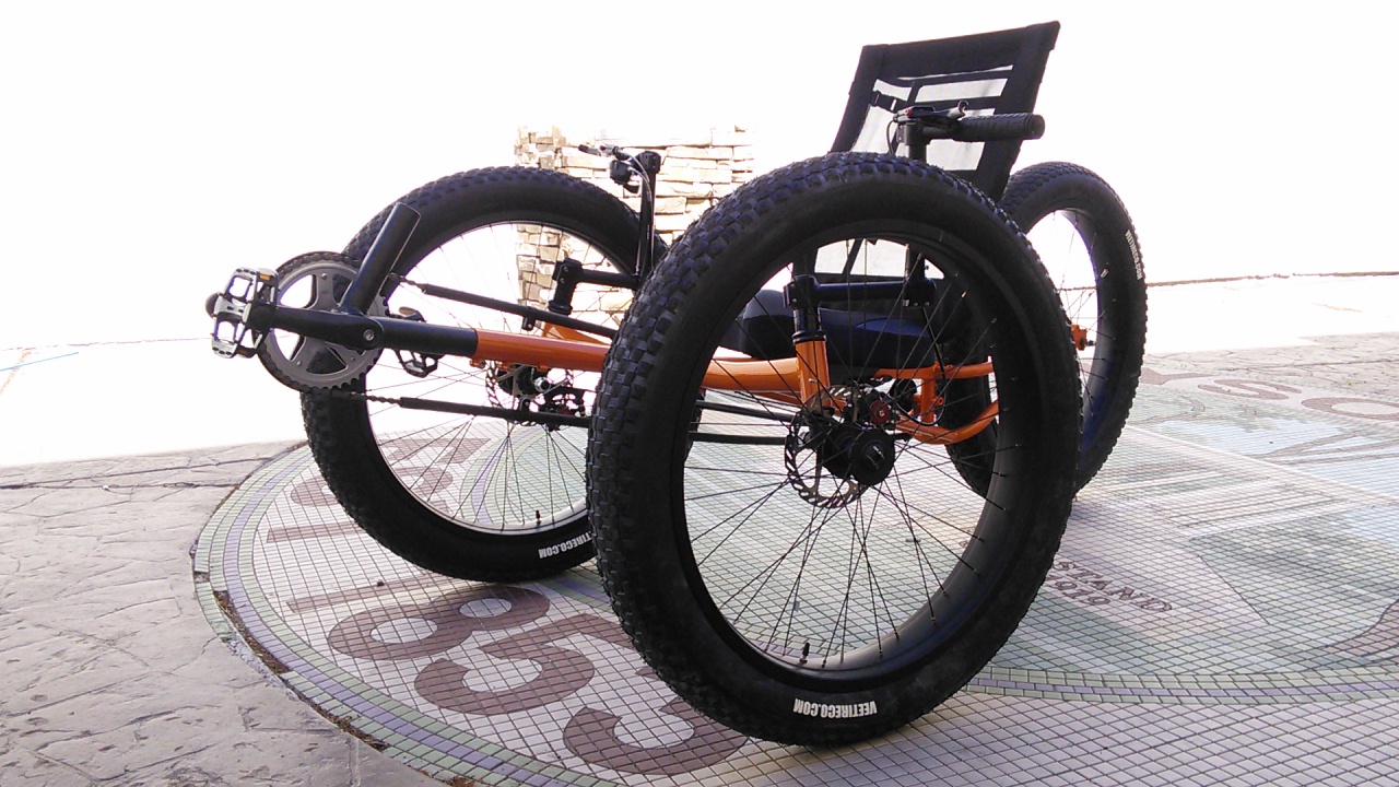 UTCustom Fat Tad Crawler Recumbent Trike