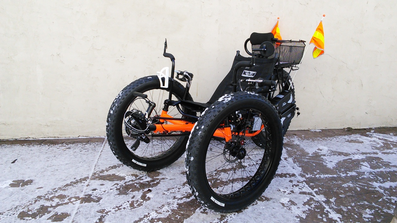 UTCustom Fat Tad Crawler Recumbent Trike