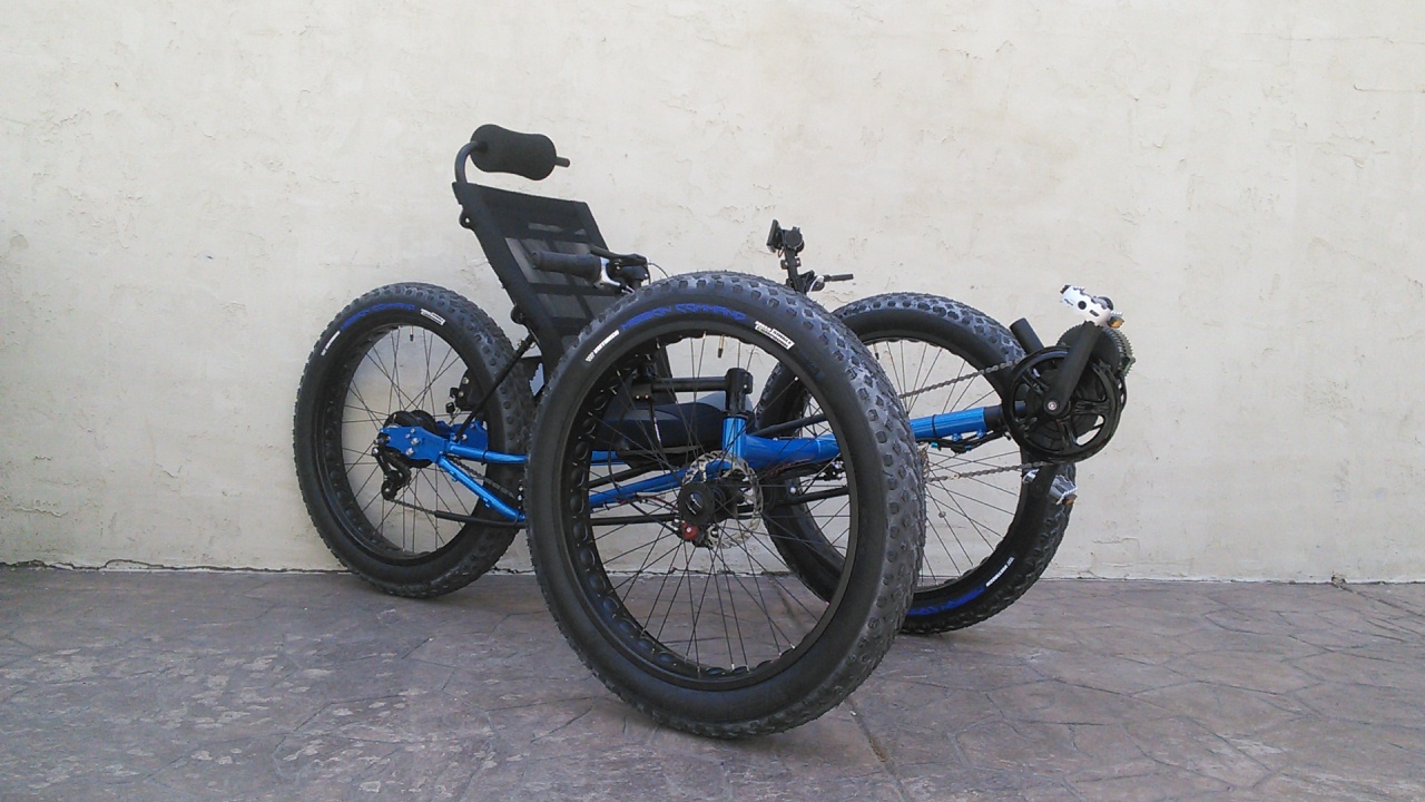 UTCustom Fat Tad Crawler Recumbent Trike