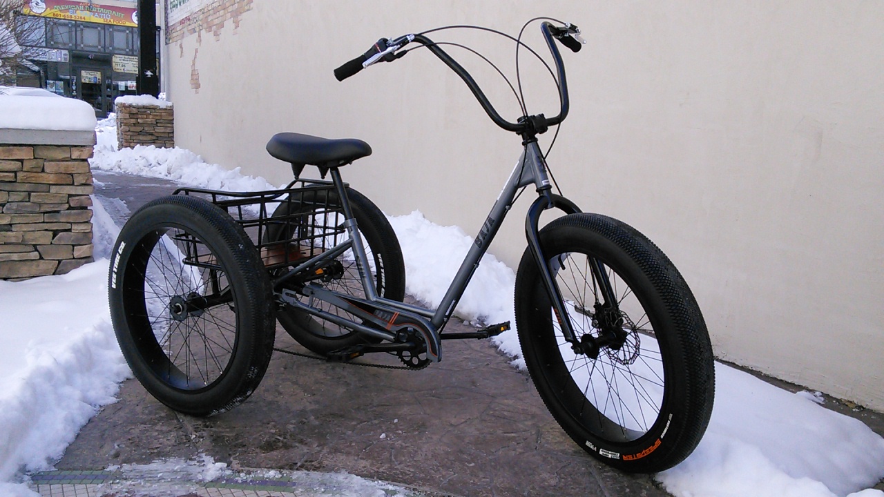 baja 3 wheel bike