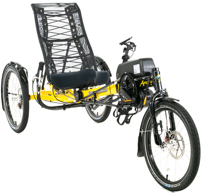 Randy's Electric Anura Delta Trike