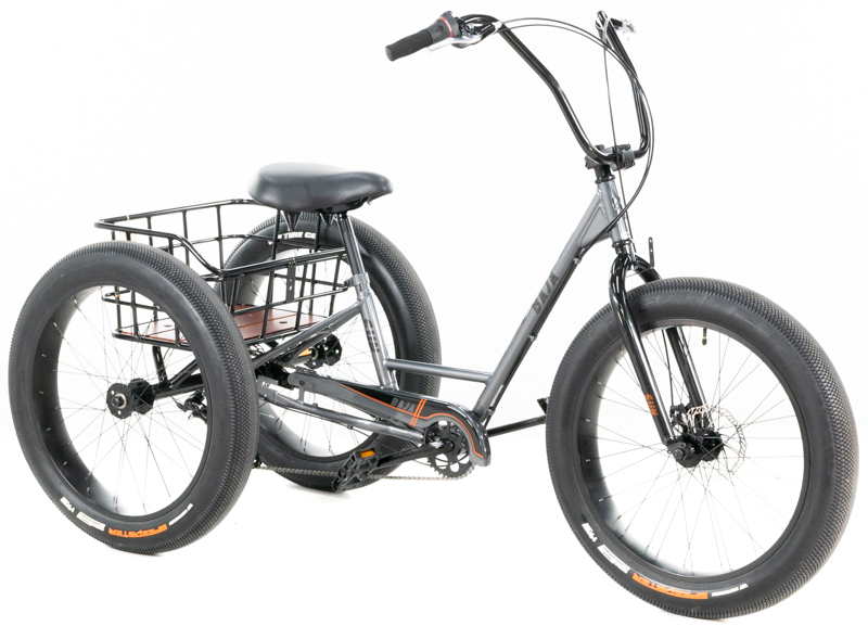 Deanna's Satin Graphite Sunseeker Baja Fat Trike