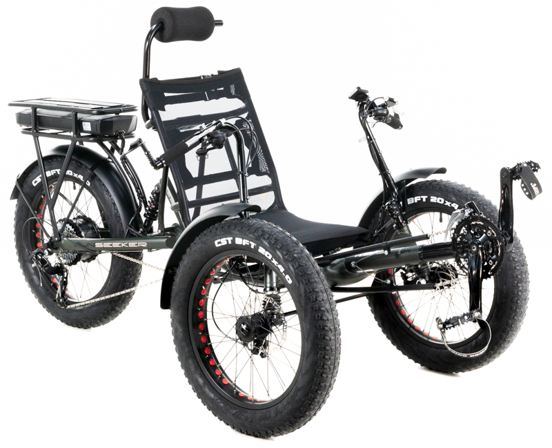 Michael's Black SunSeeker e-Fat Tad