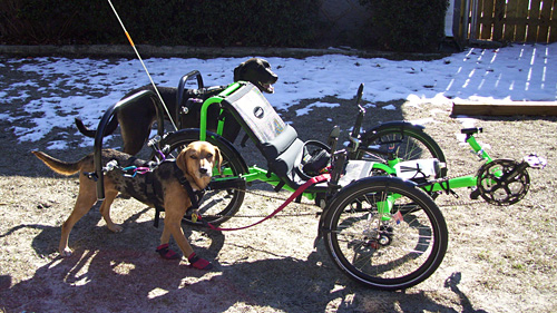 Catrike Villager Recumbent Trike