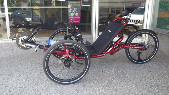 Catrike Road Suspension Trike