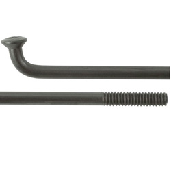 Stainless Steel Black Spokes w/Silver Nipples