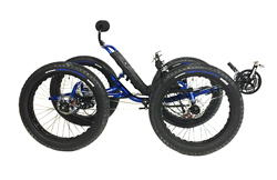 UTCustom Catrike Fat Cat-4 Quad