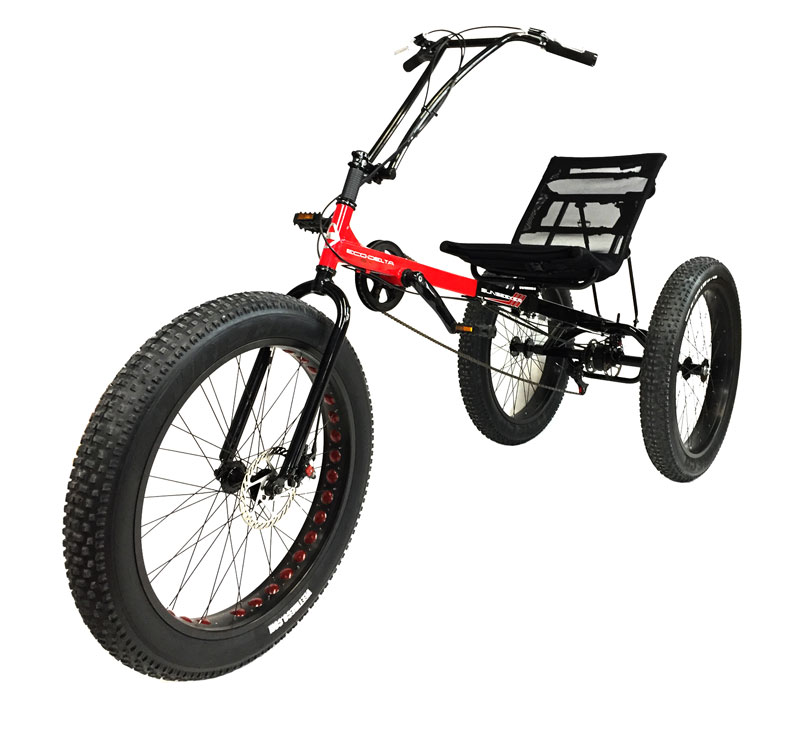 recumbent trike tires