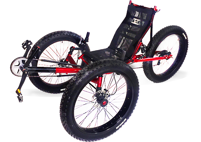 recumbent trike tires