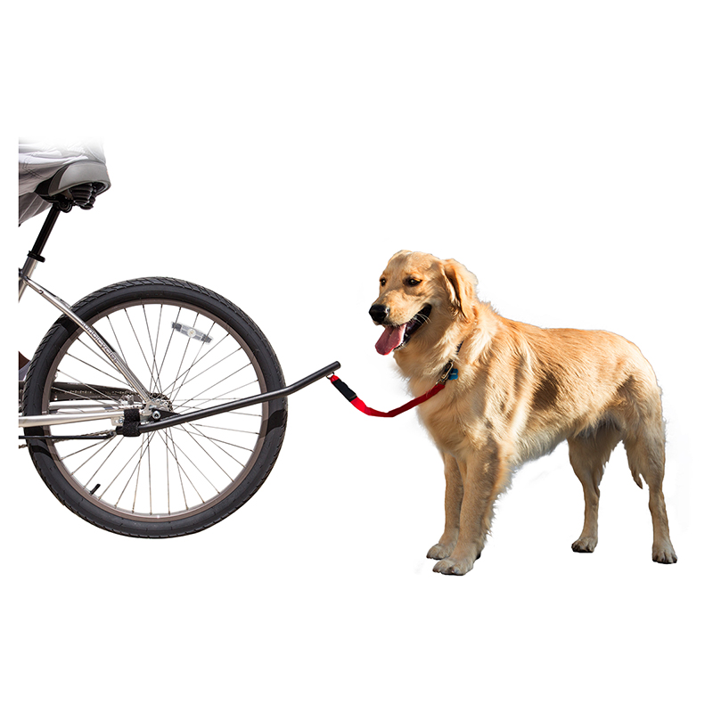 SunLite Trike Dog Leash 